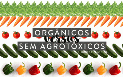 Orgânicos X Sem Agrotóxicos – Qual a diferença?