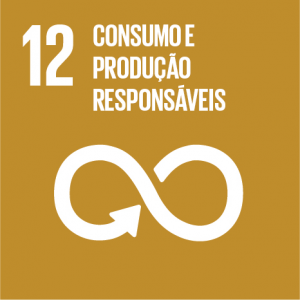 ODS 12 - Objetivos de Desenvolvimento Sustentável da ONU - Flor de Sal por Gabi Mahamud