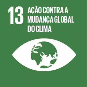ODS 13 - Objetivos de Desenvolvimento Sustentável da ONU - Flor de Sal por Gabi Mahamud