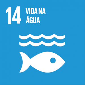 ODS 14 - Objetivos de Desenvolvimento Sustentável da ONU - Flor de Sal por Gabi Mahamud