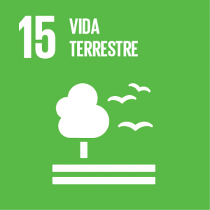 ODS 15 - Objetivos de Desenvolvimento Sustentável da ONU - Flor de Sal por Gabi Mahamud