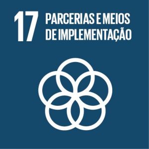 ODS 17 - Objetivos de Desenvolvimento Sustentável da ONU - Flor de Sal por Gabi Mahamud