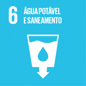 ODS 6 - Objetivos de Desenvolvimento Sustentável da ONU - Flor de Sal por Gabi Mahamud